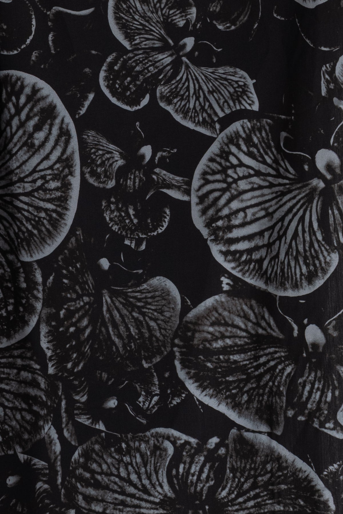 Black Orchid Italian Cotton Woven