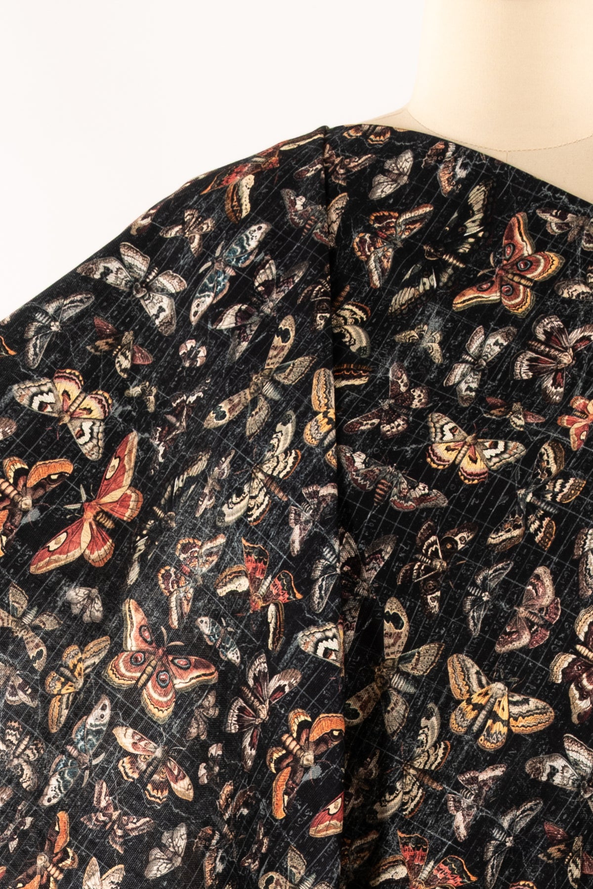 Mariposa Cotton Woven