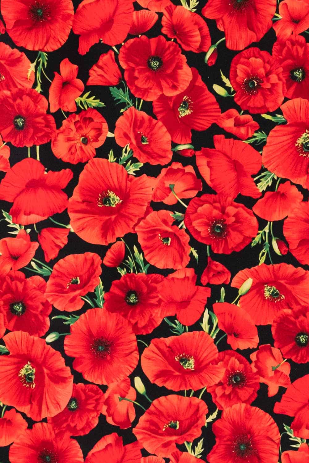 Vibrant red poppy floral fabric print on black background, ideal for apparel and quilting projects